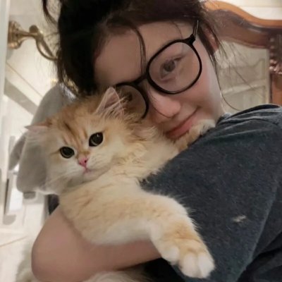 三只小猪
